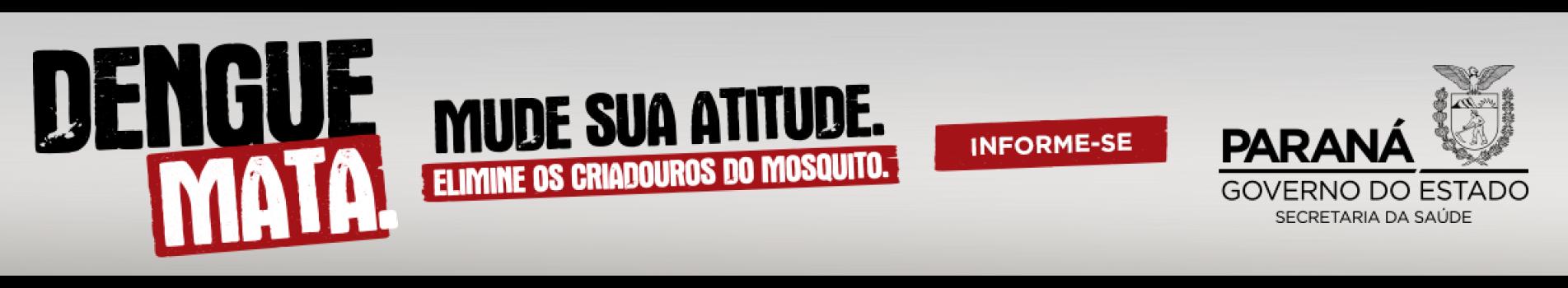 CAMPANHA DENGUE MATA