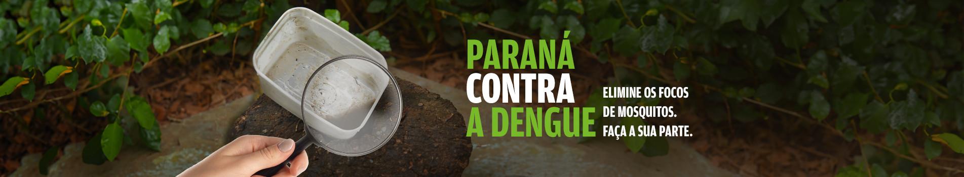 Campanha Dengue 
