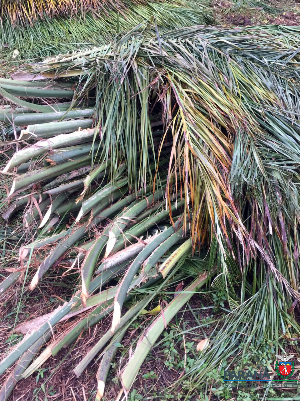 Bioconstrução - memorial etnias na aldeia indígena Rio das Cobras em Nova Laranjeiras.