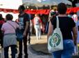 18ª Jornada de Agroecologia - “Terra Livre de Transgênicos e Sem Agrotóxicos”.