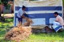 Quilombo em Guaraqueçaba - Paraná.