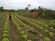 Dia Histórico para agricultura familiar do Paraná.