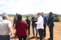 Professor Denis Denilton acompanha visita técnica do Cejusc do TJ Pr.