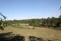 Governo do Paraná, com Paz no Campo e nas Cidades.