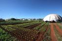 Economia Solidária e Autogestão em Cascavel.