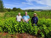 visita Barboza Ferraz 