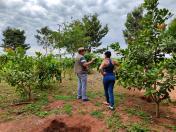 visita Querência do norte  