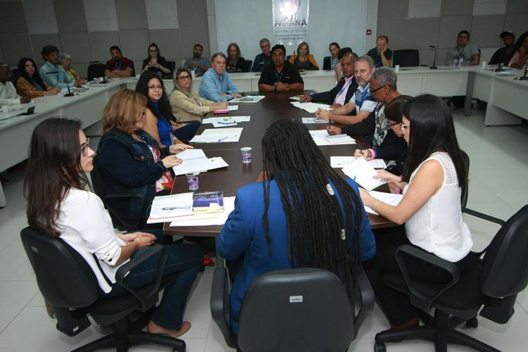 GT de Povos e comunidades Tradicionais do estado do Paraná realiza sua primeira reunião extraordinária