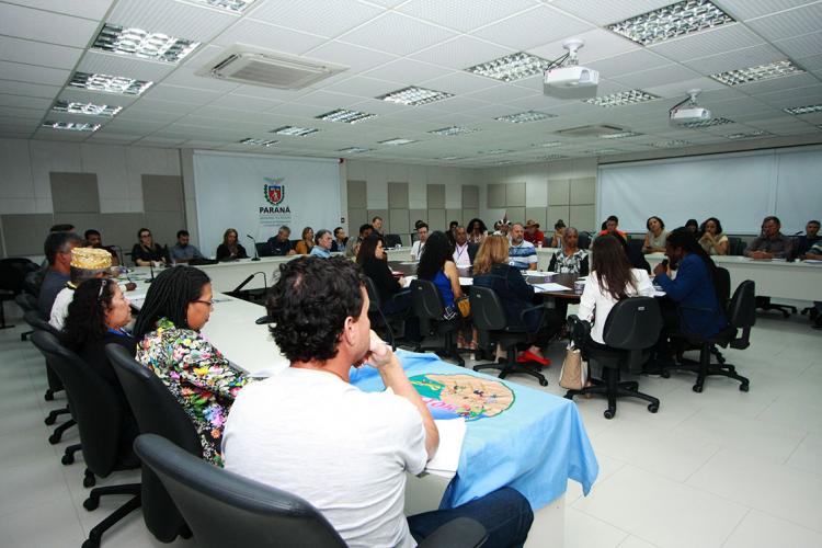 GT de Povos e comunidades Tradicionais do estado do Paraná realiza sua primeira reunião extraordinária