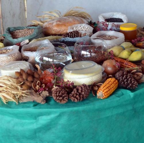 SUPERINTENDÊNCIA GERAL DE DIÁLOGO E INTERAÇÃO SOCIAL ARTICULA CRIAÇÃO DE PROGRAMA PARA INCLUSÃO SOCIAL DAS FAMÍLIAS E DOS TRABALHADORES RURAIS DO PARANÁ