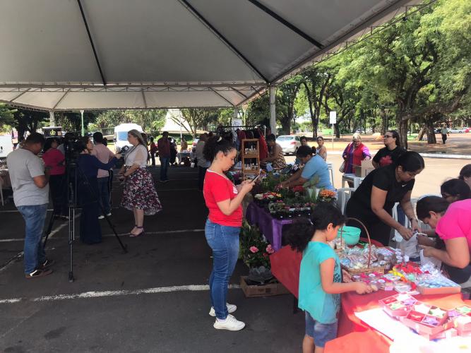 15ª reunião ordinária do Conselho Estadual de Economia Solidária