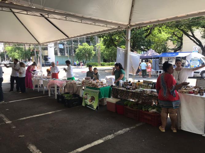 15ª reunião ordinária do Conselho Estadual de Economia Solidária