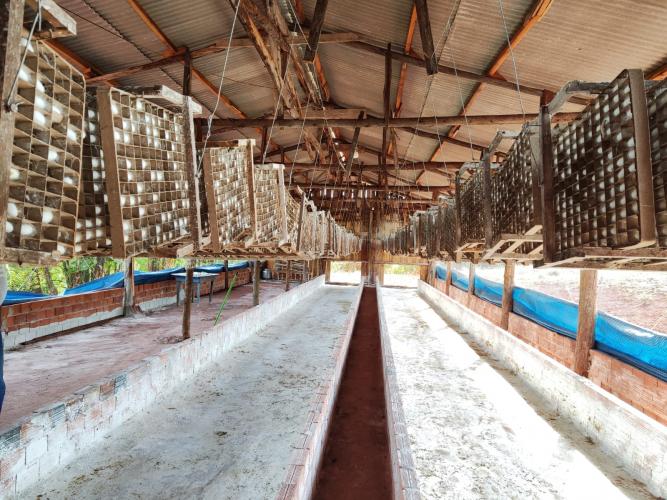 visita Barboza Ferraz