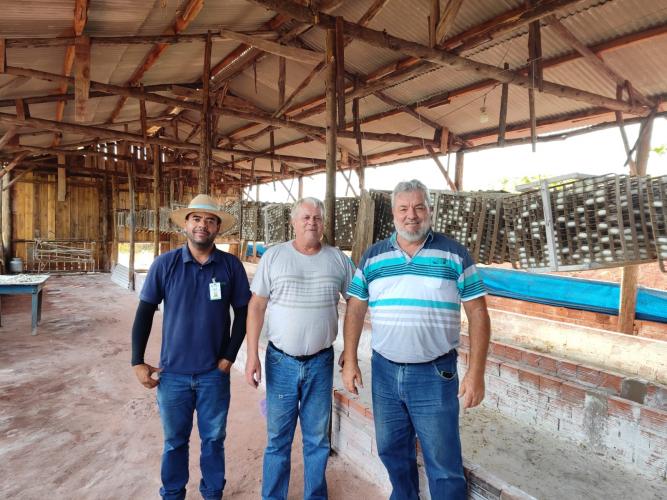 visita Barboza Ferraz