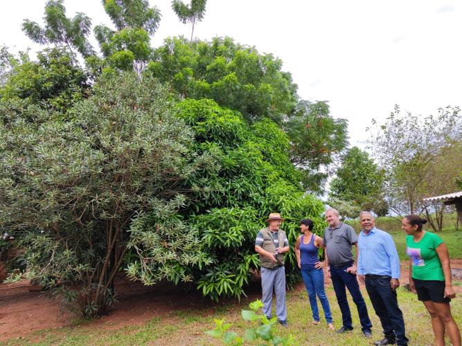 visita Querência do norte
