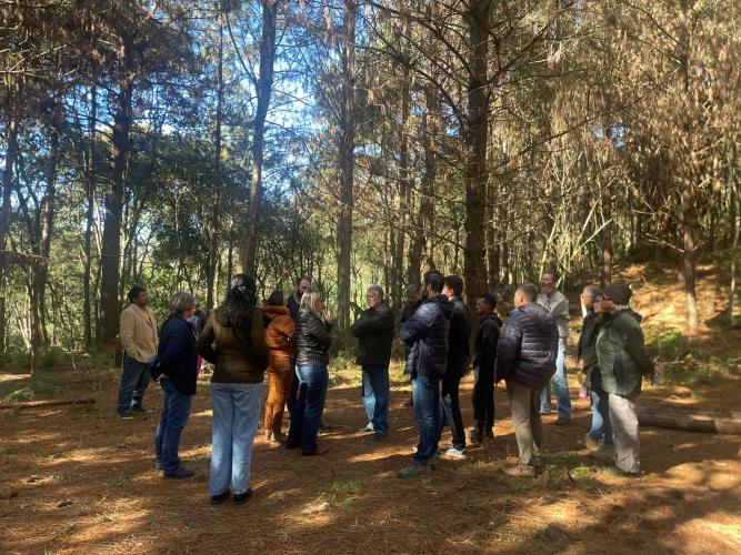 A SUDIS participou da reunião de retomada do Grupo de Trabalho do Parque Histórico do Mate.