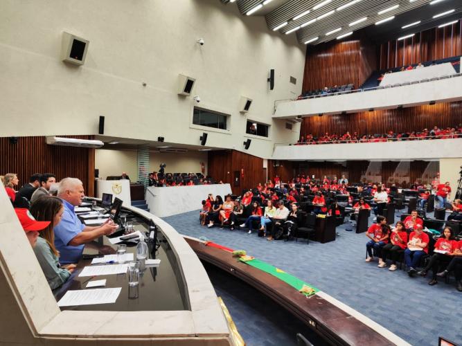 Movimento Sem Terrinha do Paraná