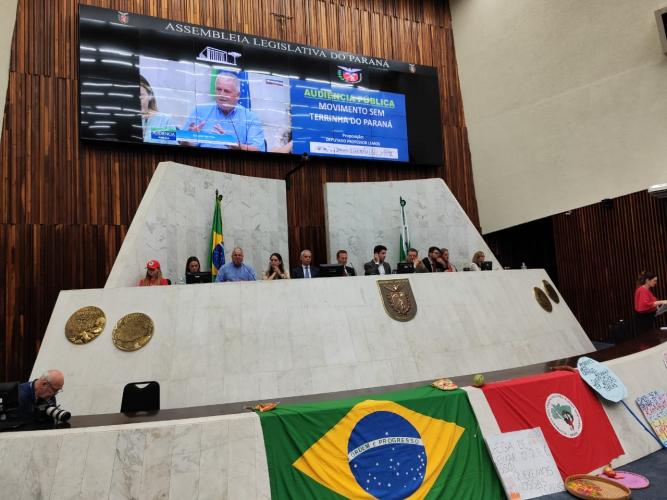 Movimento Sem Terrinha do Paraná