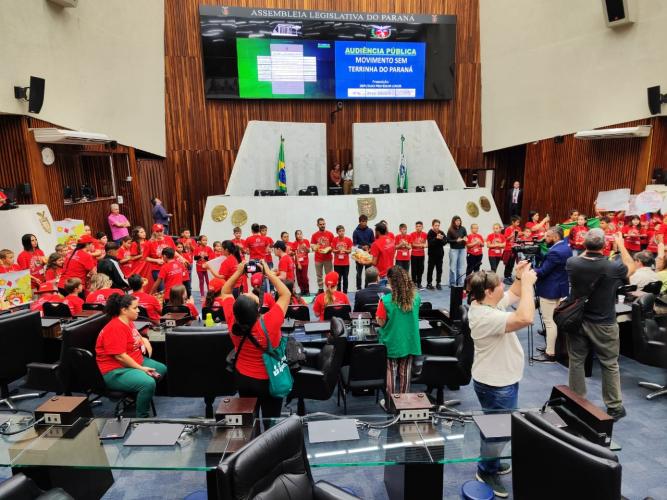 Movimento Sem Terrinha do Paraná