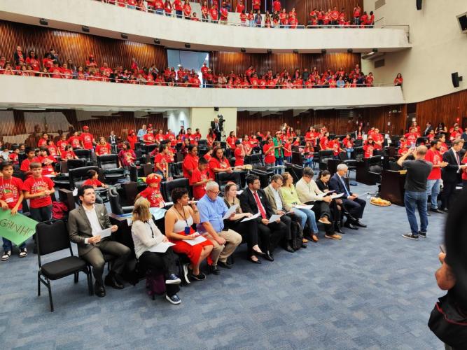 Movimento Sem Terrinha do Paraná