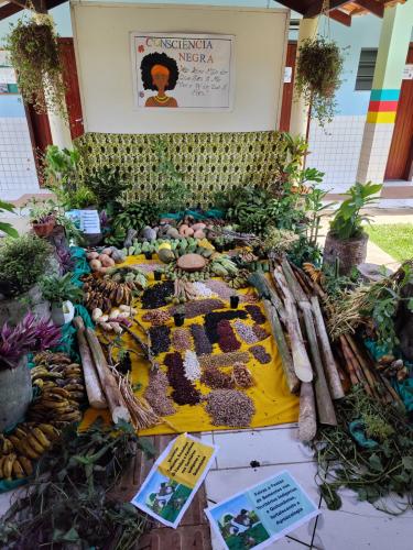 SUDIS participa de reflexão no Quilombo João Surá, em Adrianópolis (PR)