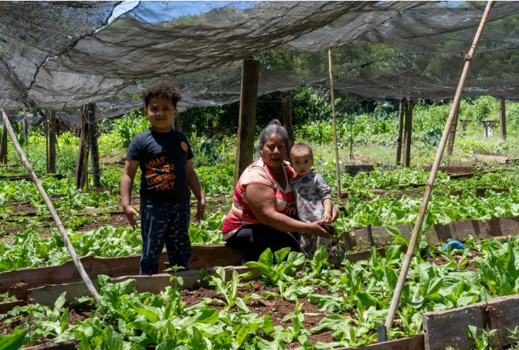 SUDIS celebra reconhecimento do primeiro Quilombo Urbano em Foz do Iguaçu