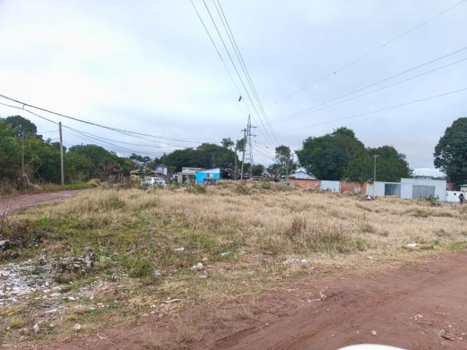 SUDIS acompanha visitas técnicas em áreas ocupadas de Colombo