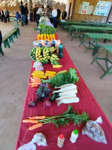 Sudis acompanha ações da Comissão de Soluções de Conflitos do TJ-PR no interior do estado