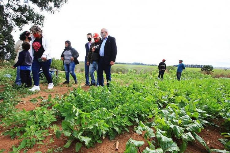 Paraná sanciona lei que fortalece a agroecologia e a agricultura familiar