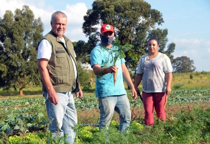 Paraná sanciona lei que fortalece a agroecologia e a agricultura familiar