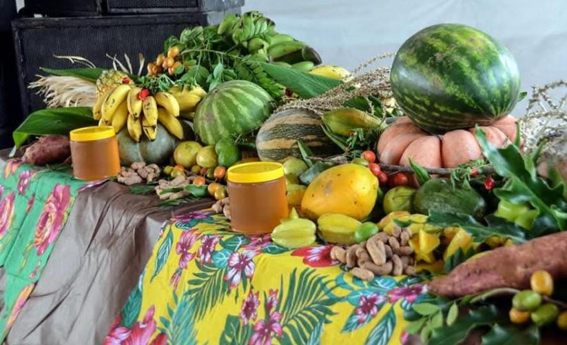 Paraná sanciona lei que fortalece a agroecologia e a agricultura familiar