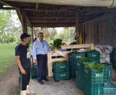 SUDIS faz visita técnica ao Assentamento do Contestado no Município da Lapa.