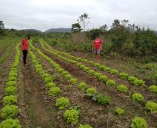 Dia Histórico para agricultura familiar do Paraná.