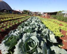 Economia Solidária e Autogestão em Cascavel.