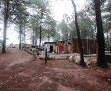 SUDIS em duas visitas técnicas em áreas de conflito fundiário no município de Francisco Beltrão.