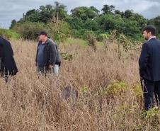 SUDIS em reunião híbrida de pré-mediação realizada pela Comissão  do Tribunal de Justiça do Estado do Paraná.