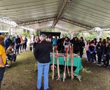 SUDIS participa de evento no Dia Internacional dos Povos Indígenas.