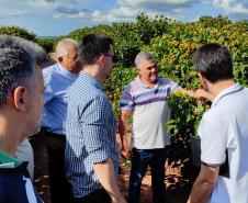 SUDIS em visita técnica na região de Paranacity.