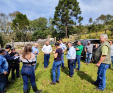SUDIS participa do Grupo de Trabalho denominado de "GT-Pinhão".