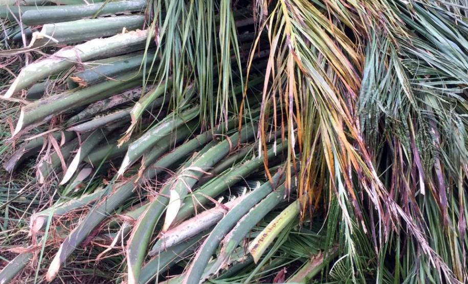 Bioconstrução - memorial etnias na aldeia indígena Rio das Cobras em Nova Laranjeiras.