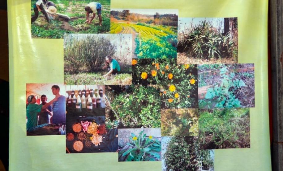 18ª Jornada de Agroecologia - “Terra Livre de Transgênicos e Sem Agrotóxicos”.