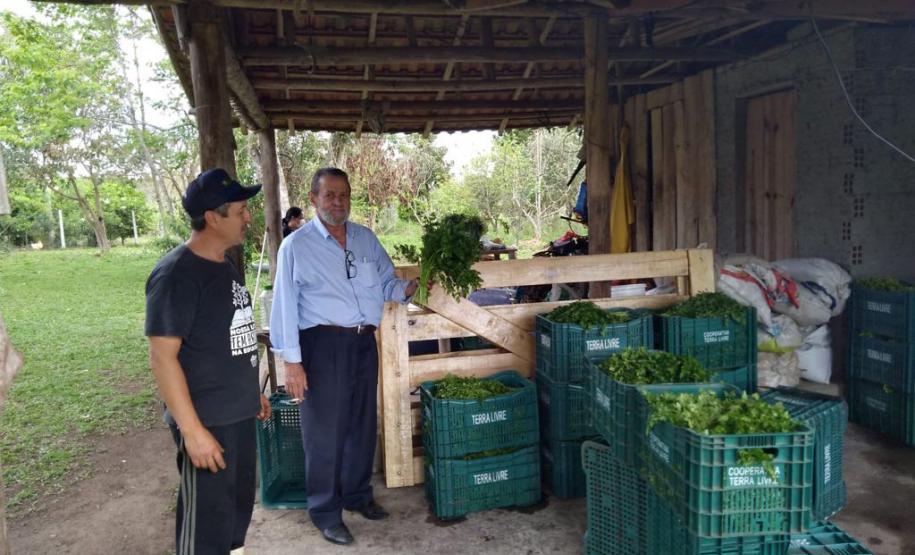 SUDIS faz visita técnica ao Assentamento do Contestado no Município da Lapa.