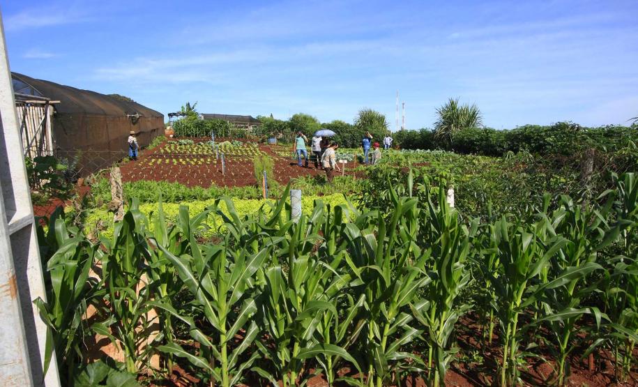 SUDIS é convidada a visitar projetos em Mamborê.