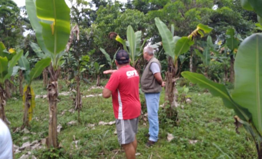 Dia Histórico para agricultura familiar do Paraná.