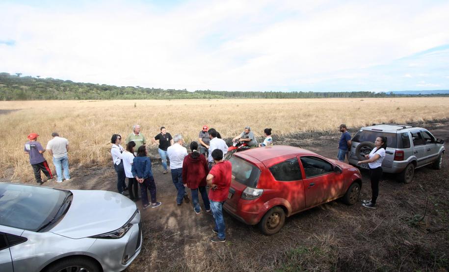 Paz no Campo e nas cidades do Paraná.