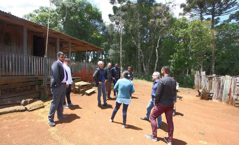 Professor Denis Denilton acompanha visita técnica do Cejusc do TJ Pr.