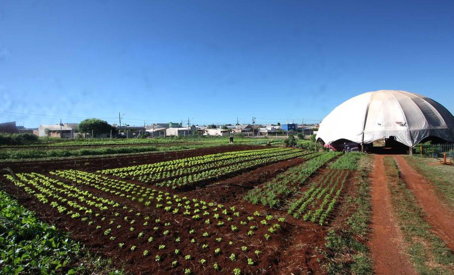 Economia Solidária e Autogestão em Cascavel.