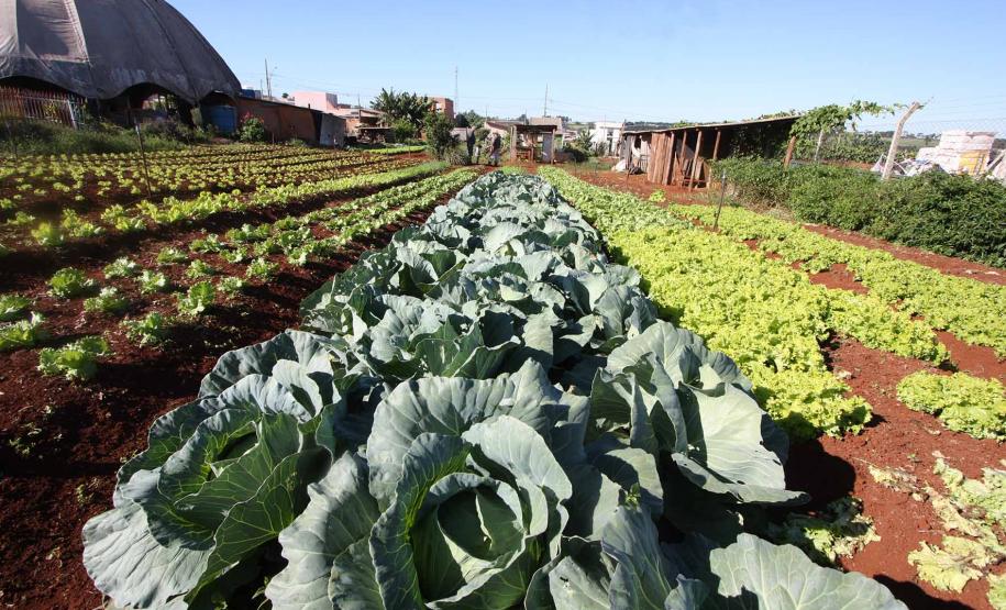Economia Solidária e Autogestão em Cascavel.