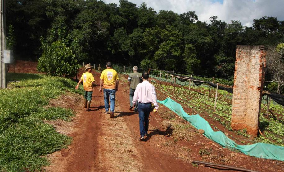 Comunidade Quilombo Apepu em São Miguel do Iguaçu Pr.