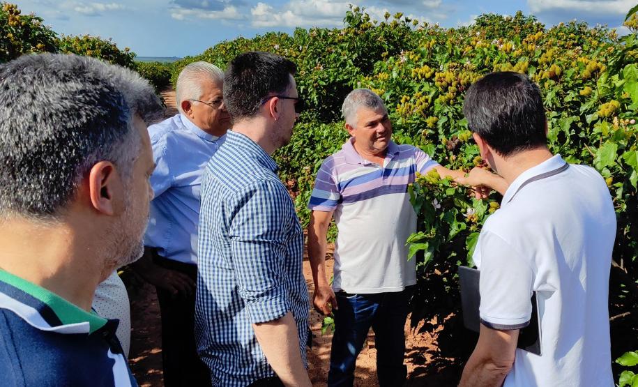 SUDIS em visita técnica na região de Paranacity.